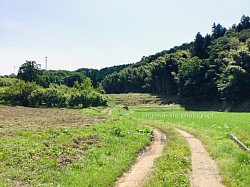 里山さんぽ