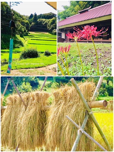 日本の原風景此処にあり