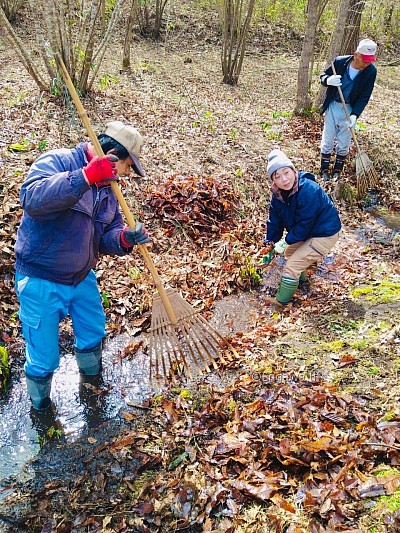 里山の湧水の落ち葉さらい